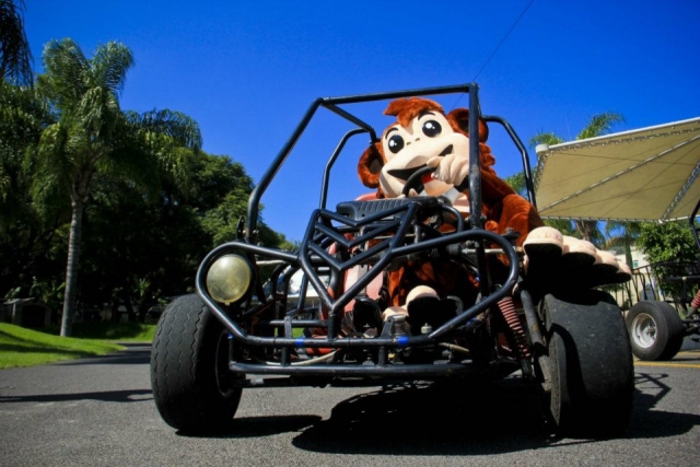 Nuestra mascota en buggy
